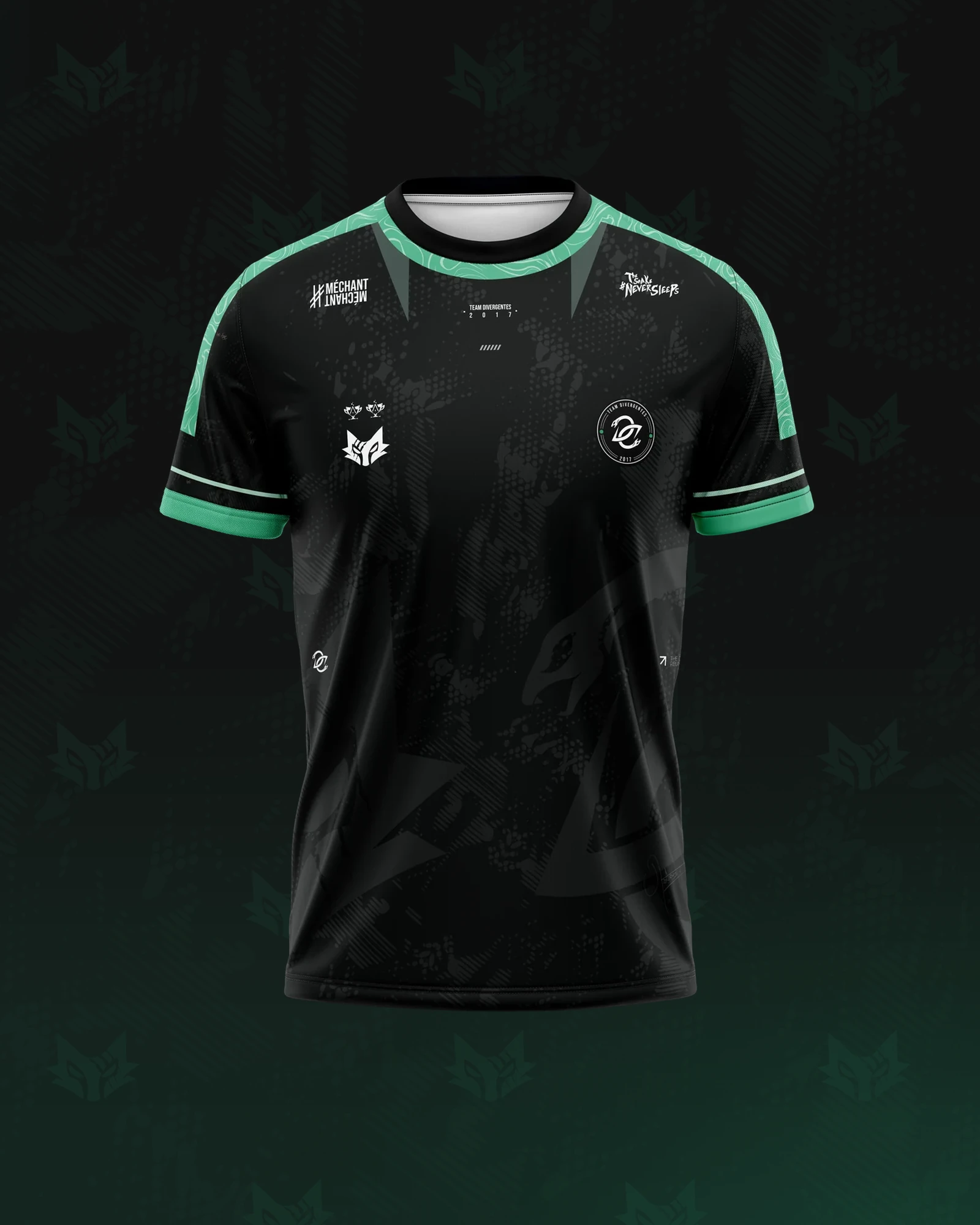 Maillot 2026 - DVG × Mystic